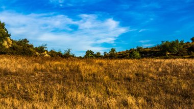 Güzel bir manzara Ağacı ve mavi gökyüzü