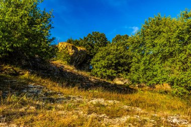 Tepedeki yeşil çimenler
