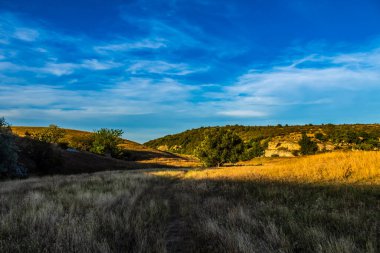 Buğday tarlası ve mavi gökyüzü olan bir manzara.