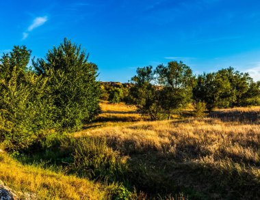 Güzel sonbahar manzarası Dağlarda ağaçlar