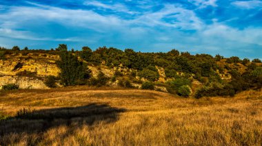 Ağaçlı ve yeşil yapraklı güzel sonbahar manzarası