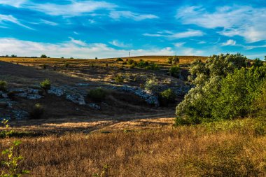 Ağaçlı tepelerin güzel bir görüntüsü.