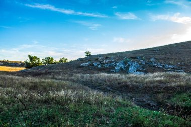 Çayırı ve otuyla güzel bir yaz manzarası