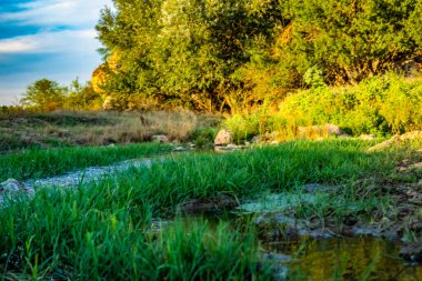 Doğanın güzel manzarası