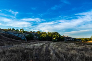 Kırsal kesimde güzel bir manzara, kırsal kesimde bir yol, Portekiz.