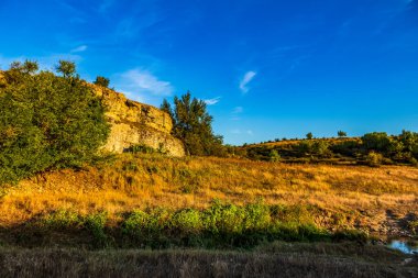 Güneşli bir günde ormanlık bir nehir manzarası.