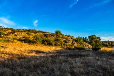 Güzel bir manzaranın dikey çekimi