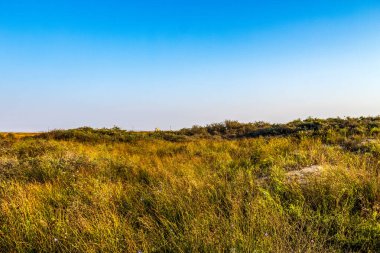 Kuru çimlerle, mavi gökyüzüyle ve beyaz bulutlarla yaz manzarası.