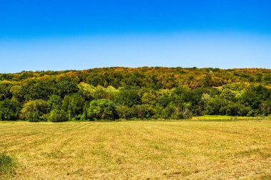 Arkasında büyük yeşil çimenler ve mavi bir gökyüzü olan bir arazinin manzarası. Güneşli bir gün.