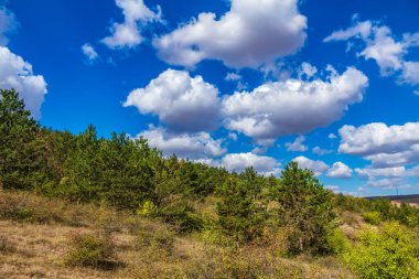 Yeşil çimenli manzara ve mavi gökyüzü bulutlu ve ağaçlı
