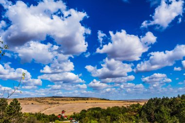 Güzel bir manzara Ağacı ve mavi gökyüzü