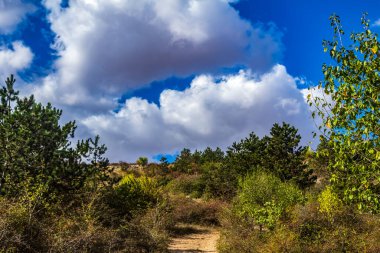 Ağaçları ve mavi gökyüzü olan güzel bir manzara.