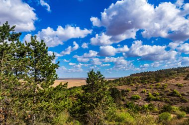 Dağlardaki ormanın güzel manzarası