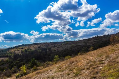Karpat Dağları 'nın güzel manzarası.
