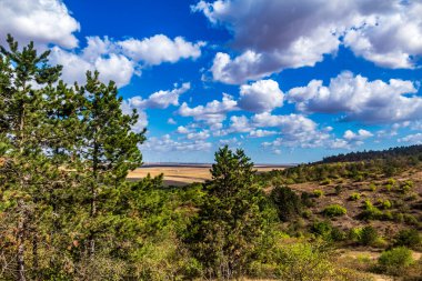 Ağaçları ve mavi gökyüzü olan güzel bir manzara.
