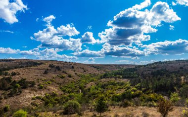 Güzel bir manzara Ağacı ve mavi gökyüzü