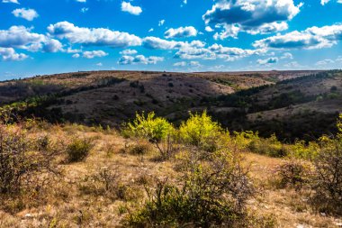 Ormanın güzel manzarası