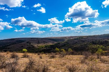 Yukarıdan güzel bir ormana