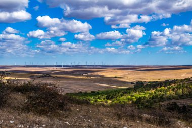 Ağaçlar ve mavi gökyüzü olan güzel bir manzara.