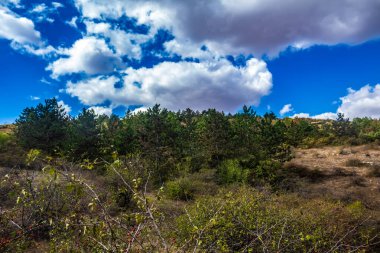 Doğanın güzel manzarası