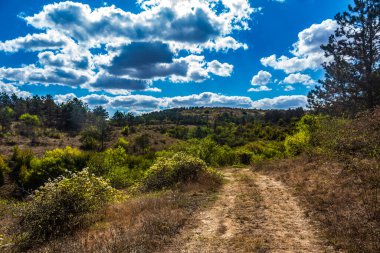 Karpatların dağlarındaki toprak yol. Sonbahar manzarası.