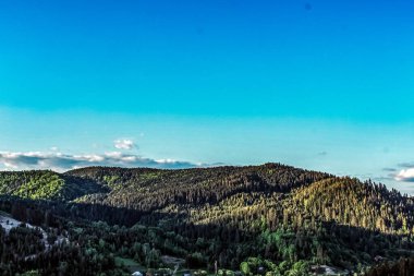 Yazın dağlarda, Karpat Dağları 'nda hava manzarası. ukraine.