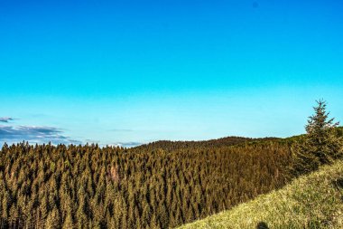 Dağları ve ormanı olan güzel bir manzara.