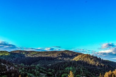 Mavi gökyüzünün altındaki dağlarda güzel bir ağaç görüntüsü.