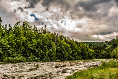 Gündüz vakti bulutlu gökyüzünün altında yeşilliklerle çevrili güzel bir nehir manzarası.