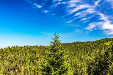 Manzaralar, Doğa, Avrupa, Doğu Avrupa, Romanya