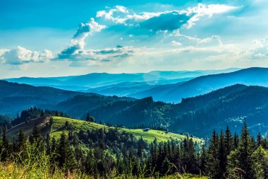 Karpatlar 'daki dağların ve bulutların olduğu güzel yaz manzarası