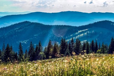 Karpat dağlarındaki dağ manzarası