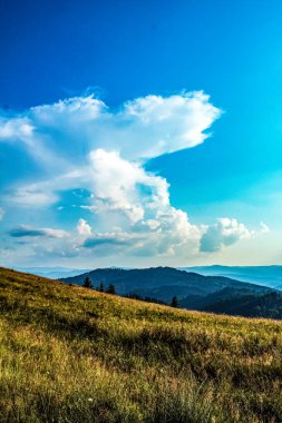 Ağacı ve dağı olan güzel bir manzara.