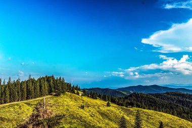 Ukrayna 'daki Karpatların yaz manzarası