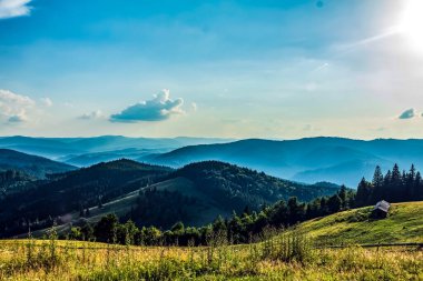 Yeşil çayırlı güzel dağ manzarası