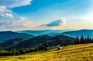 Yaz aylarında Karpat Dağları