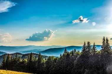 Dağları ve ağaçları olan güzel bir manzara.