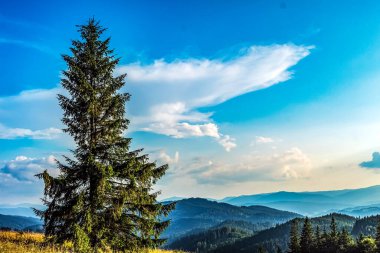 Dağların güzel manzarası