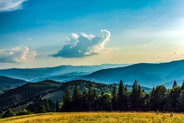 Güzel dağ manzarası. Karpat Dağları. yaz günü