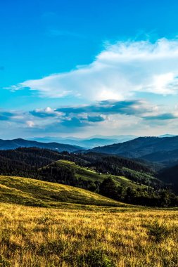 Karpat Dağları'nın yaz manzara