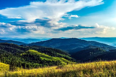 güzel yaz peyzaj Karpat Dağları