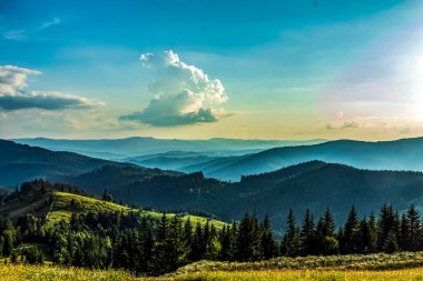 Ukrayna 'daki Karpatların güzel manzarası