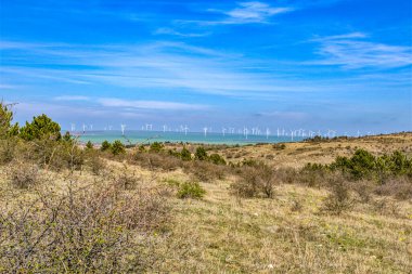 Doğanın güzel manzarası