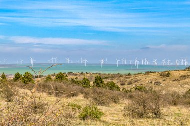 Rüzgar değirmenleri