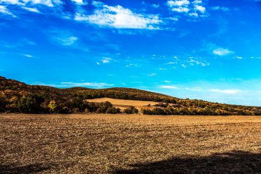Bir ağaç ve bir dağ ile sonbahar manzarası