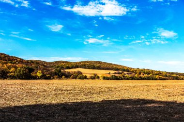 Mavi bulutlu gökyüzünün altında bir dağ yolunun güzel manzarası.