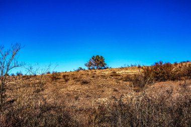 Ağaçlar ve yapraklarla dolu sonbahar manzarası