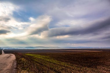 Buğday tarlası ve bulutlu gökyüzü olan güzel bir manzara.