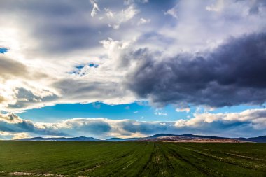 Çimen tarlası ve mavi gökyüzü olan güzel bir manzara.