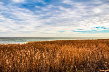 Baltık Deniz Kıyısı. Güzel bir deniz manzarası. Akşamları Baltık Denizi adası. Letonya.
